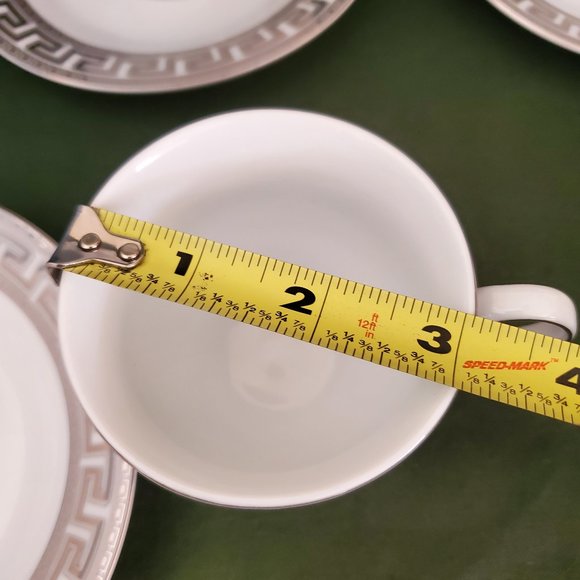 Alpine Cuisine Tea Cups and Saucers Fine Porcelain Germany 12 Pcs Set New - Picture 9 of 10